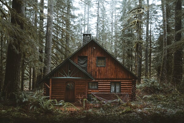 /architecture/thoughtful-tiny-house-in-the-woods-cost-under-14k-to-build
